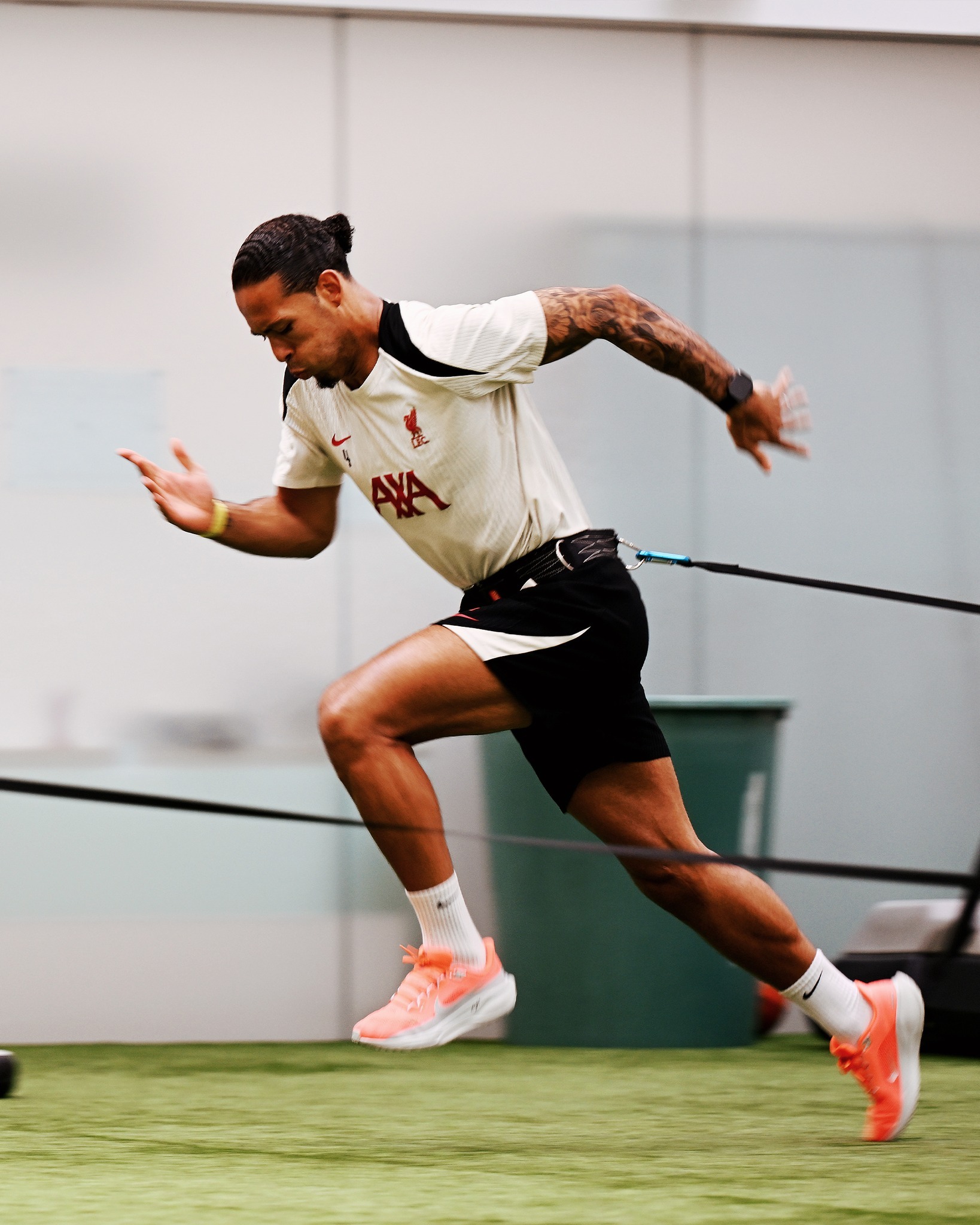 利物浦美女球迷